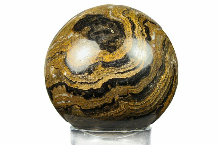 Polished Stromatolite (Greysonia) Sphere - Bolivia #302466